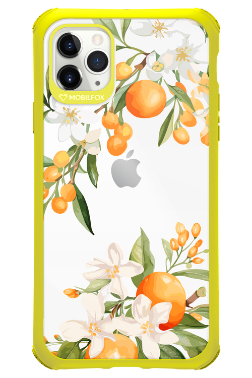 Amalfi Orange - Apple iPhone 11 Pro Max