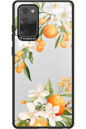 Amalfi Orange 2.0 - Samsung Galaxy Note 20