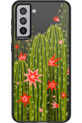 Cactus bloom 2.0 - Samsung Galaxy S21+