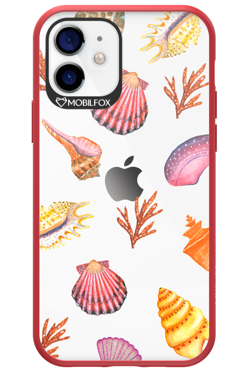 Sea Shells - Apple iPhone 12