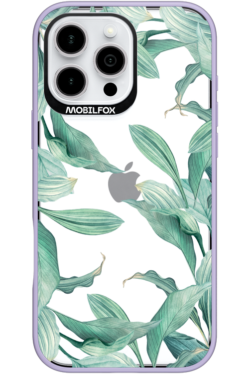Greenpeace - Apple iPhone 16 Pro Max