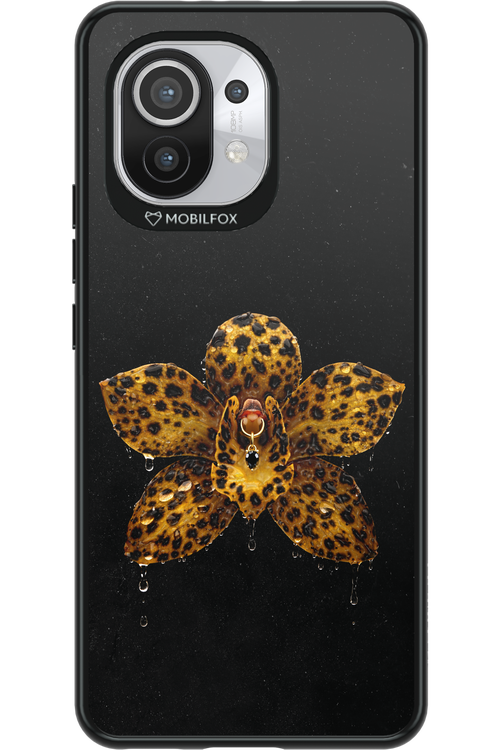 Wet & Wild 2.0 - Xiaomi Mi 11 5G