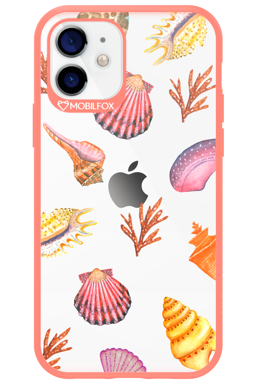 Sea Shells - Apple iPhone 12