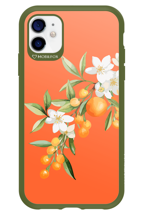 Amalfi Oranges - Apple iPhone 11