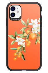 Amalfi Oranges - Apple iPhone 11