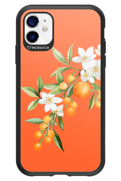 Amalfi Oranges - Apple iPhone 11