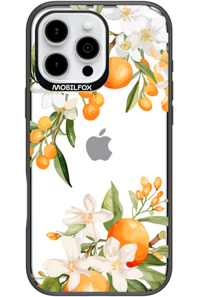 Amalfi Orange - Apple iPhone 16 Pro Max