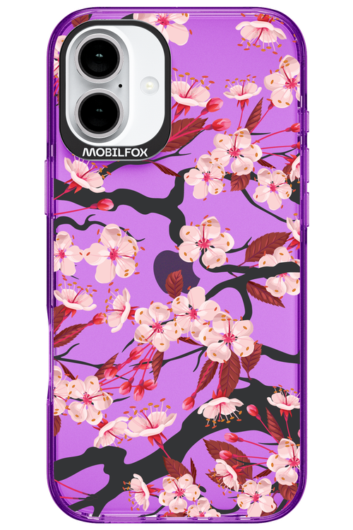 Sakura - Apple iPhone 16 Plus