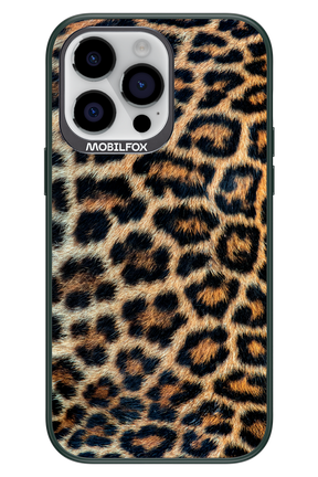 Leopard - Apple iPhone 14 Pro Max