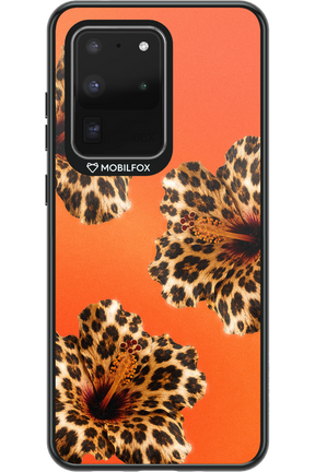 Sun Purr 2.0 - Samsung Galaxy S20 Ultra 5G
