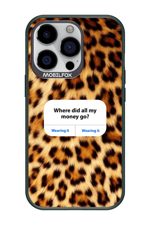 My Money 2.0 - Apple iPhone 13 Pro