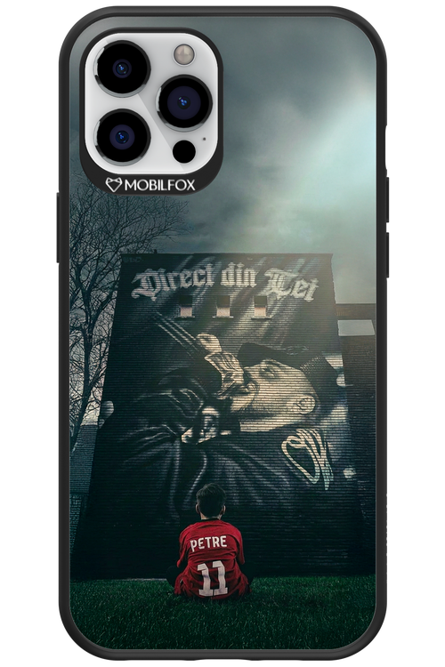 Direct Din Tei Artwork 2.0 - Apple iPhone 12 Pro Max