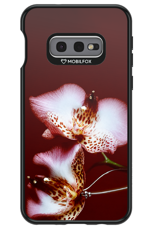 Leobloomy 2.0 - Samsung Galaxy S10e
