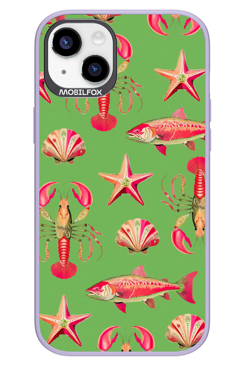 Sea Stars - Apple iPhone 14 Plus