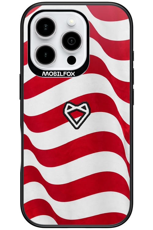 USA 2.0 - Apple iPhone 16 Pro