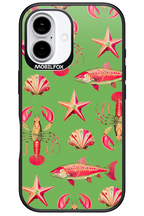 Sea Stars - Apple iPhone 16