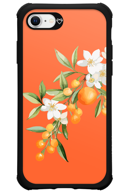 Amalfi Oranges - Apple iPhone SE 2022