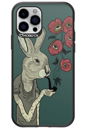 Bunny - Apple iPhone 12 Pro
