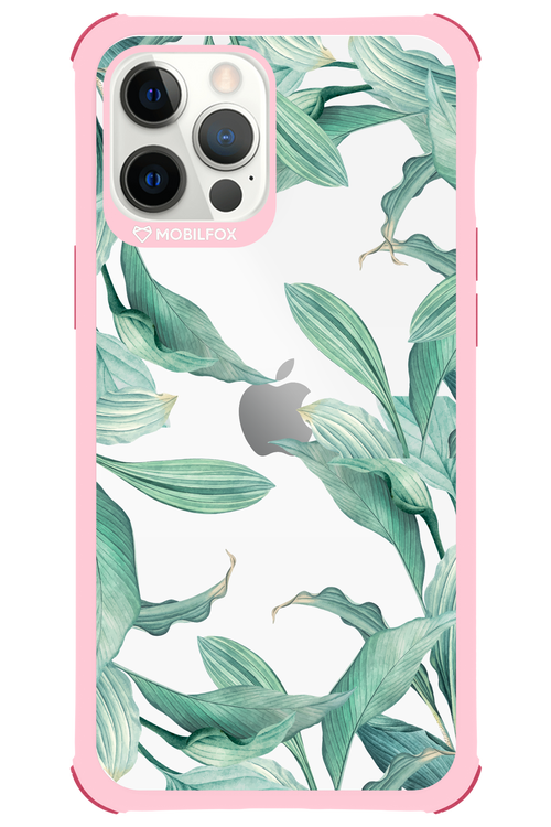 Greenpeace - Apple iPhone 12 Pro Max