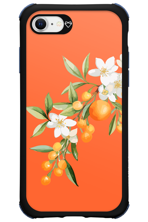 Amalfi Oranges - Apple iPhone SE 2022