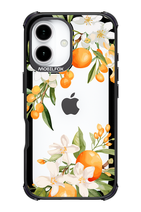Amalfi Orange - Apple iPhone 17