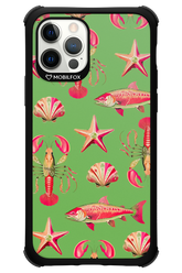 Sea Stars - Apple iPhone 12 Pro