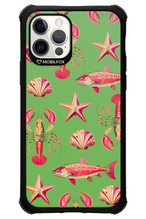 Sea Stars - Apple iPhone 12 Pro