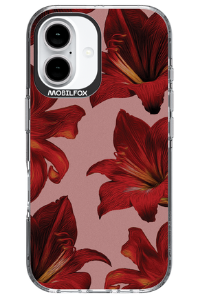 Amaryllis Mist - Apple iPhone 16