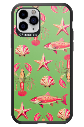 Sea Stars - Apple iPhone 11 Pro