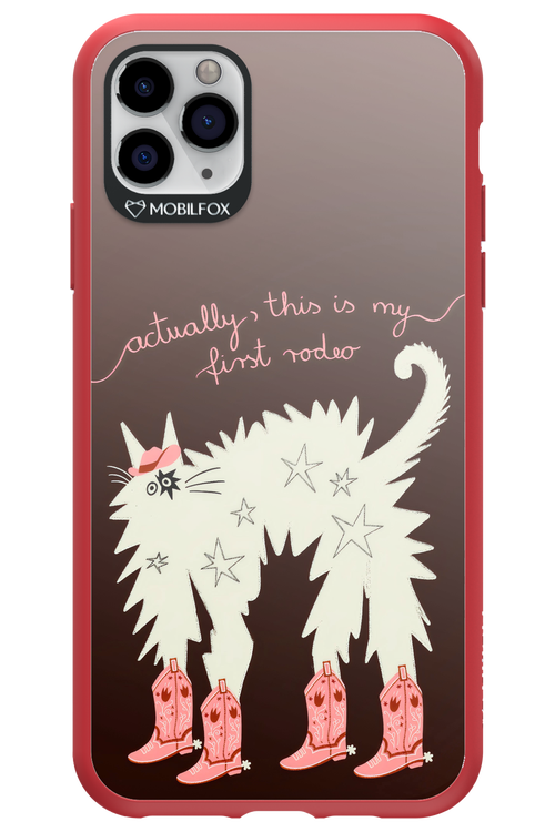 First rodeo 2.0 - Apple iPhone 11 Pro Max