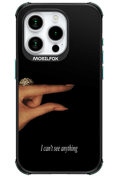 I can't see anything 2.0 - Apple iPhone 15 Pro