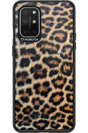 Leopard - OnePlus 8T