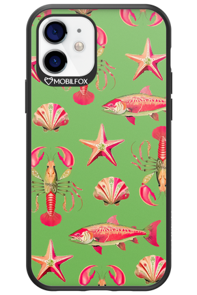 Sea Stars - Apple iPhone 12