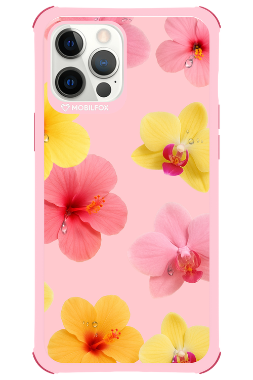 Sunset Flowers - Apple iPhone 12 Pro Max