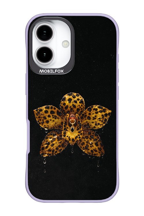 Wet & Wild 2.0 - Apple iPhone 17
