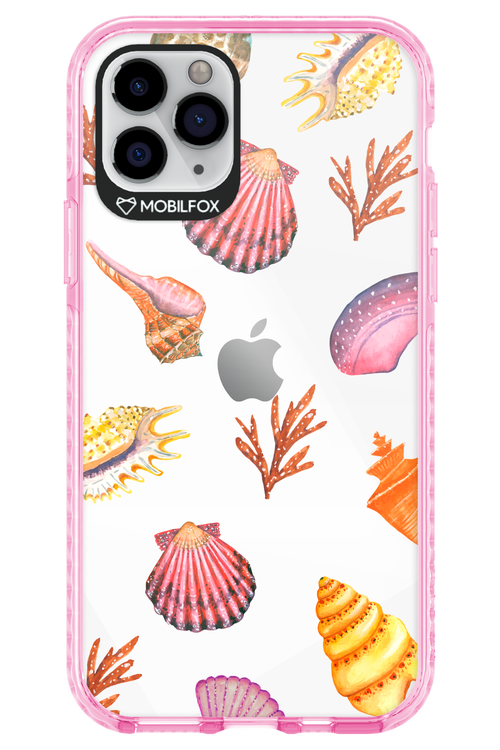 Sea Shells - Apple iPhone 11 Pro