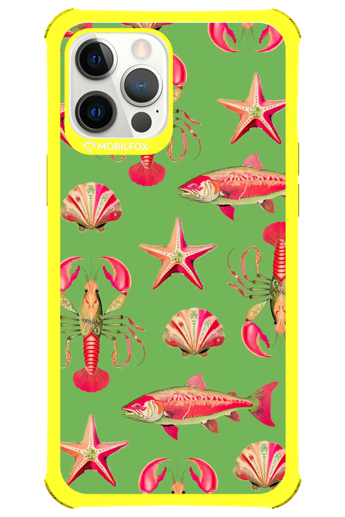 Sea Stars - Apple iPhone 12 Pro Max