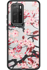 Sakura - Huawei P40 Pro