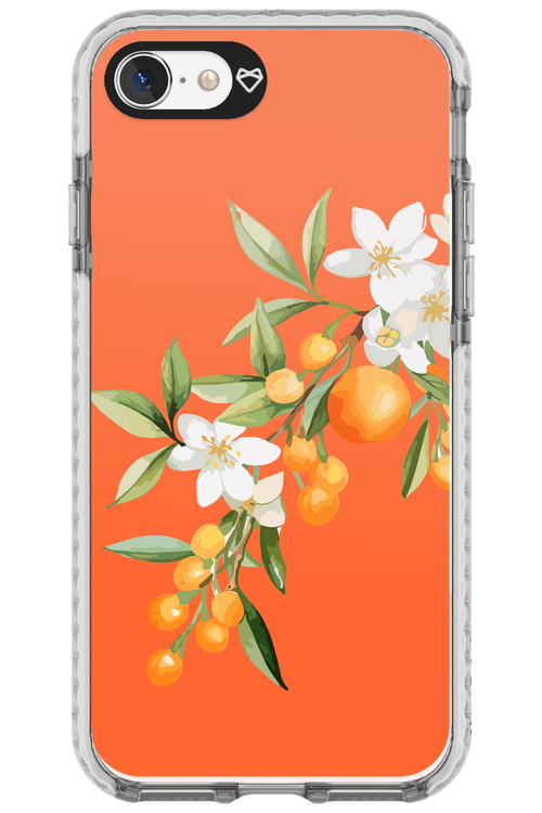 Amalfi Oranges - Apple iPhone SE 2020