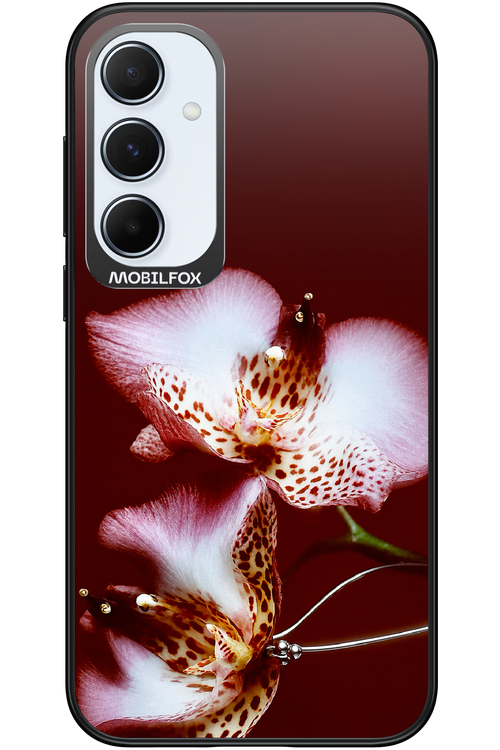 Leobloomy 2.0 - Samsung Galaxy A55