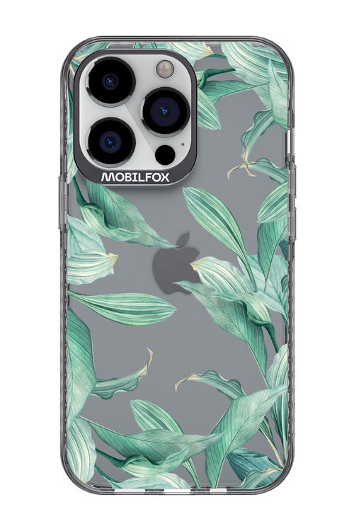 Greenpeace 2.0 - Apple iPhone 13 Pro