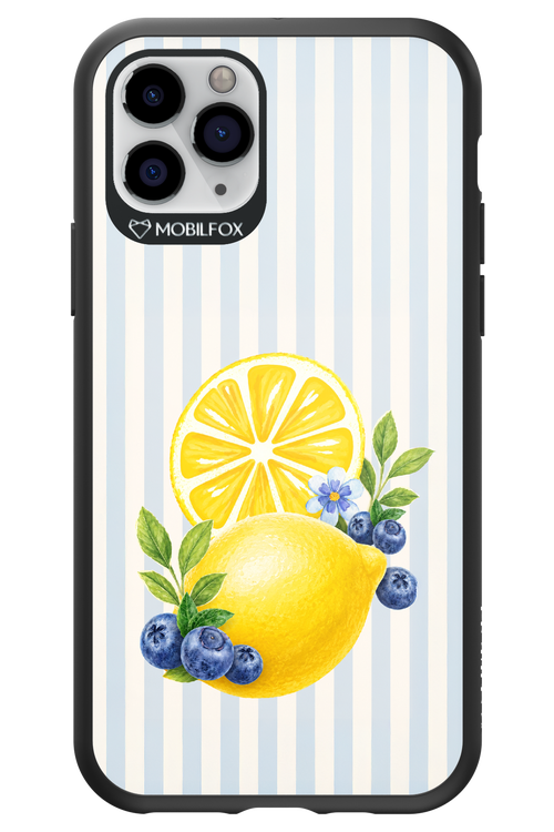 Fresh Flash 2.0 - Apple iPhone 11 Pro