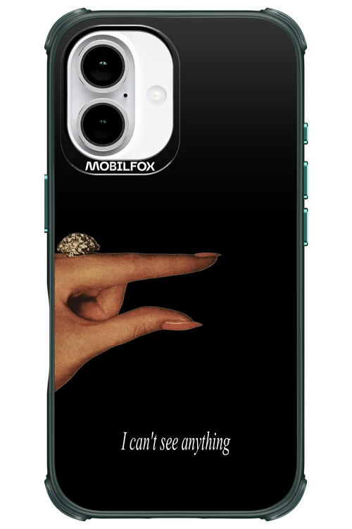 I can't see anything 2.0 - Apple iPhone 16
