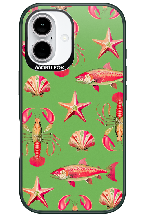Sea Stars - Apple iPhone 16