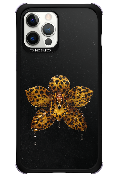 Wet & Wild 2.0 - Apple iPhone 12 Pro Max