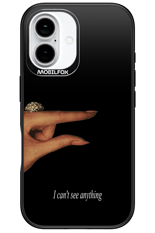 I can't see anything 2.0 - Apple iPhone 16