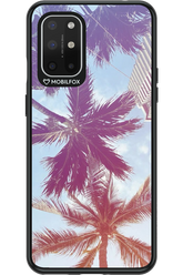 Sunset Dreams - OnePlus 8T