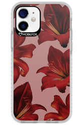 Amaryllis Mist - Apple iPhone 12