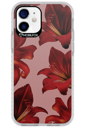 Amaryllis Mist - Apple iPhone 12