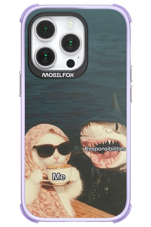 Responsibilities - Apple iPhone 14 Pro